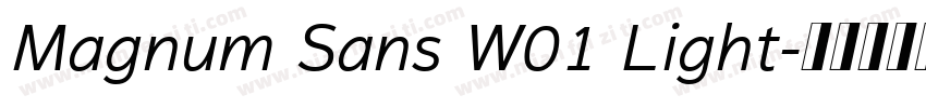 Magnum Sans W01 Light字体转换